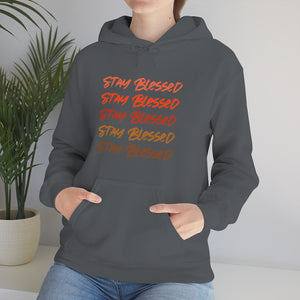 Stay Blessed Unisex Heavy Blend™ Hooded Sweatshirt